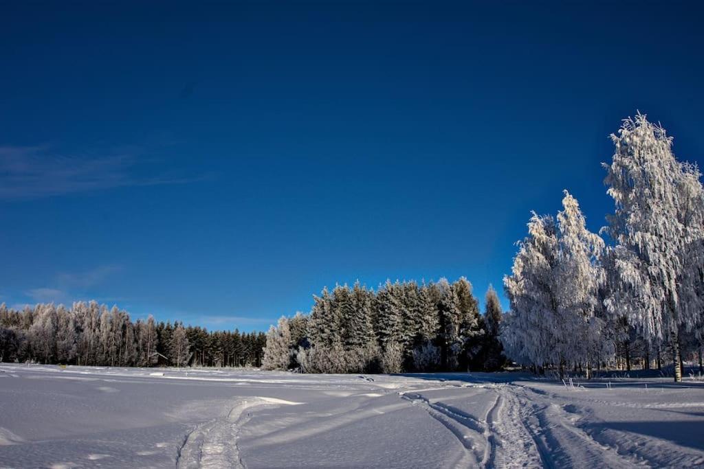 Vuollerim Northern Lights Lappland 빌라 외부 사진